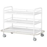 Carro Hospitalar para Transporte